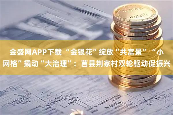 金盛网APP下载 “金银花”绽放“共富景” “小网格”撬动“大治理”：莒县荆家村双轮驱动促振兴